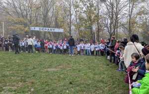 Calendrier des cross 2025-2026