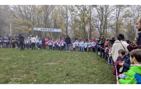 Calendrier des cross 2025-2026